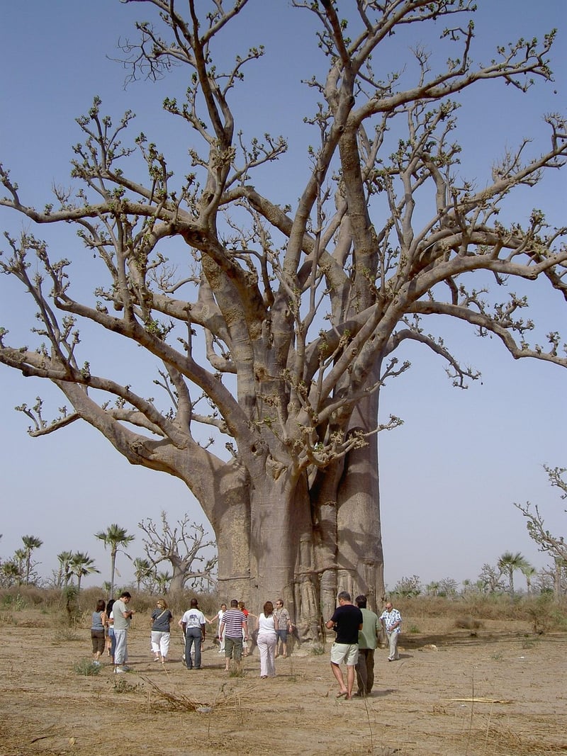 Temporal Tourism Group